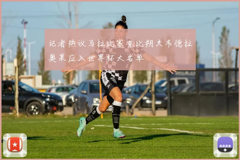 记者热议马拉比塞克比朔夫韦德拉奥果应入世界杯大名单